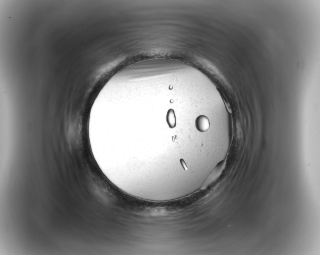 X0000086060588200704091229