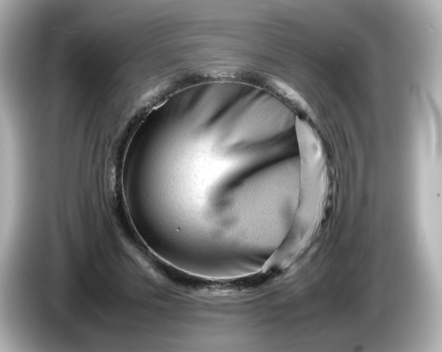 X0000086060589200704091229