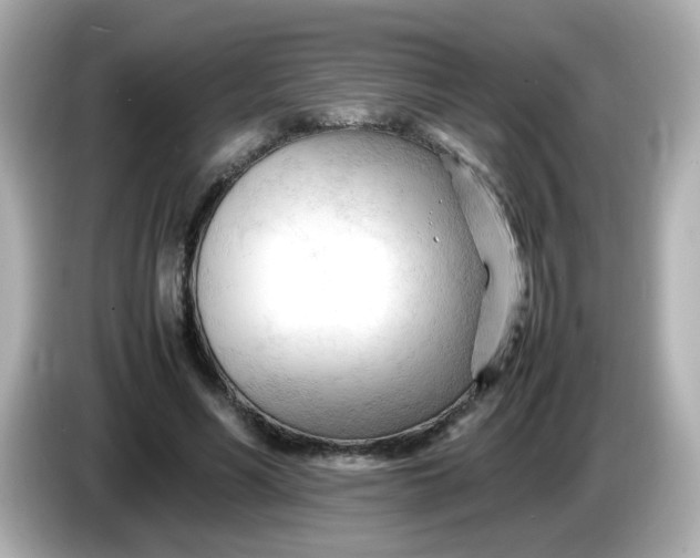 X0000086060590200704091229