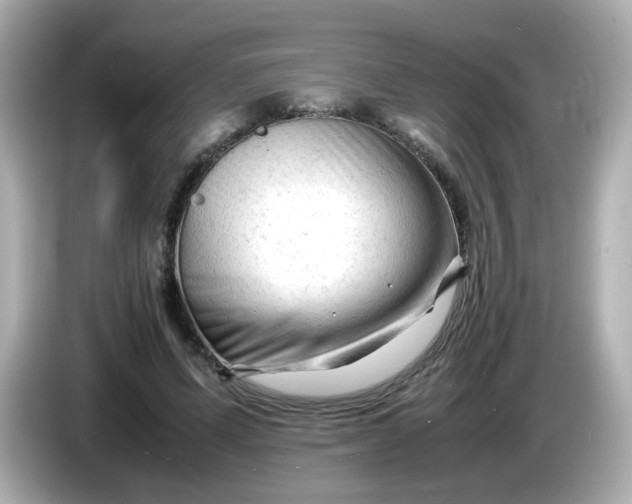 X0000086060591200704091229