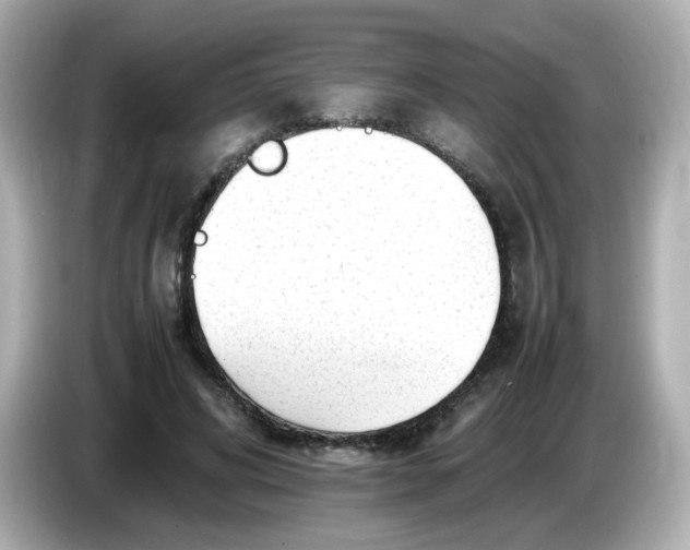 X0000086060592200704091229