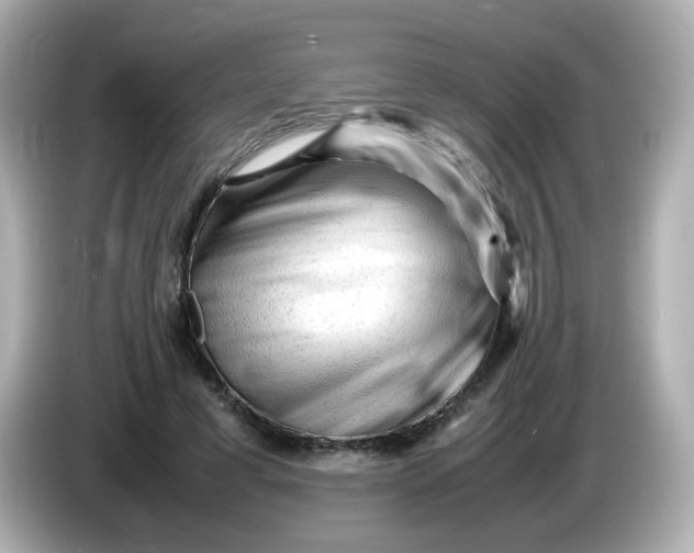 X0000086060593200704091229