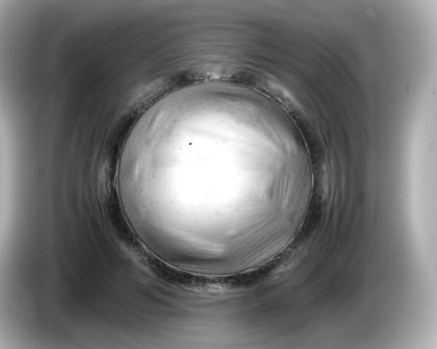 X0000086060594200704091229