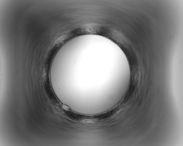 X0000086060595200704091229