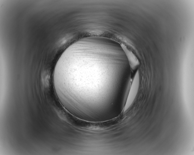 X0000086060596200704091229