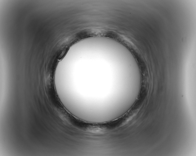 X0000086060597200704091229