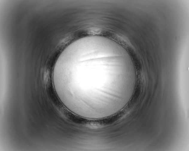 X0000086060598200704091229