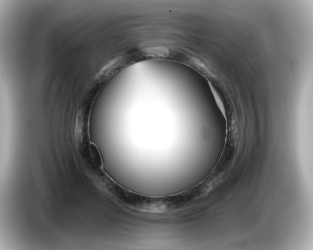 X0000086060600200704091229