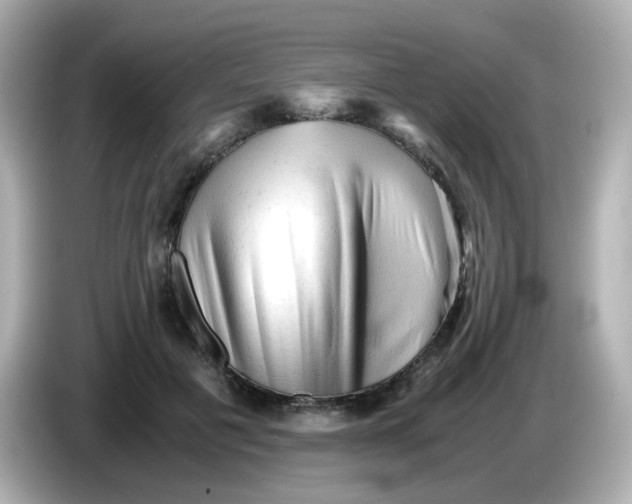 X0000086060601200704091229