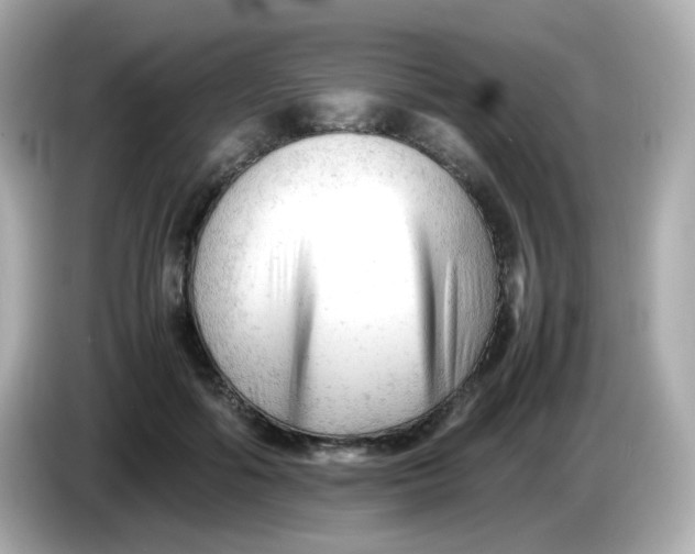 X0000086060602200704091229