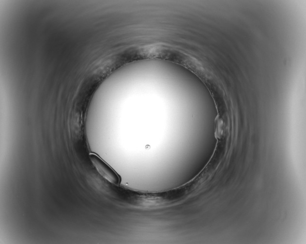 X0000086060605200704091229