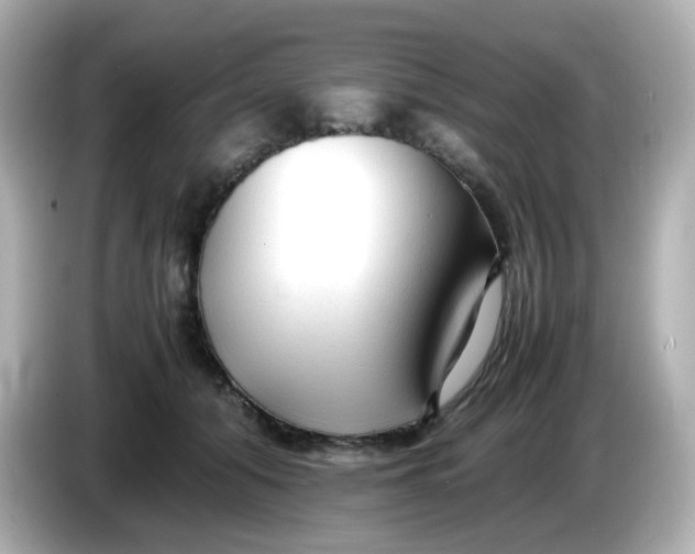 X0000086060608200704091229