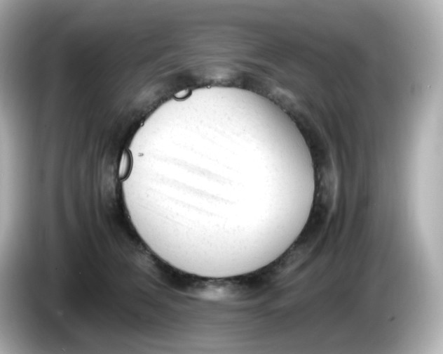 X0000086060612200704091229