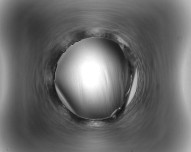 X0000086060617200704091229