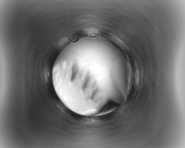 X0000086060618200704091229