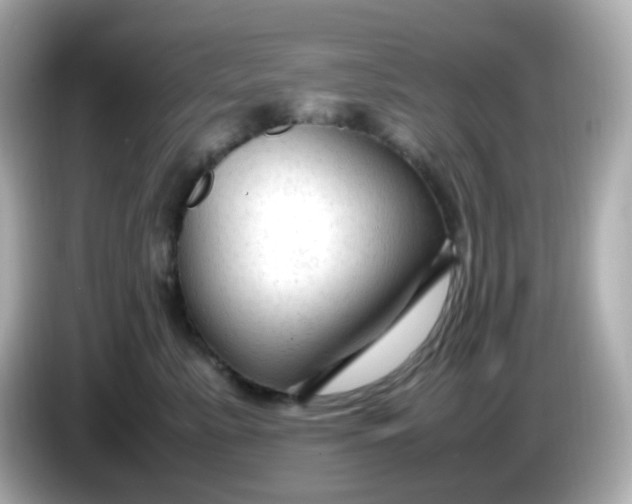 X0000086060619200704091229