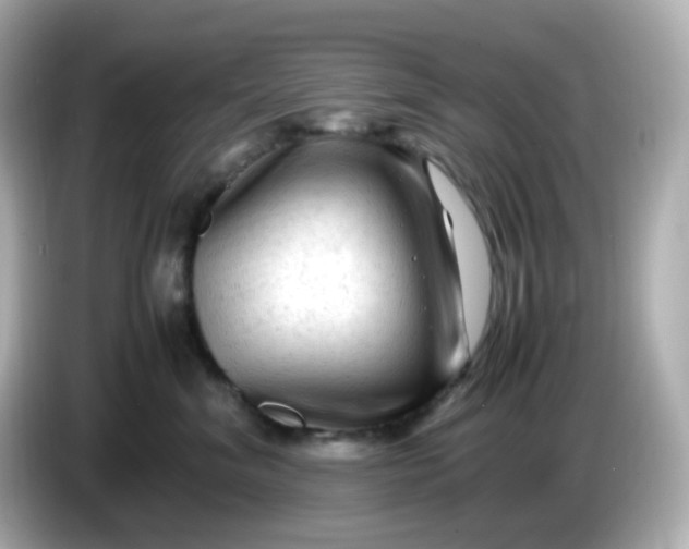 X0000086060620200704091229