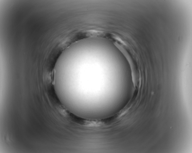 X0000086060621200704091229