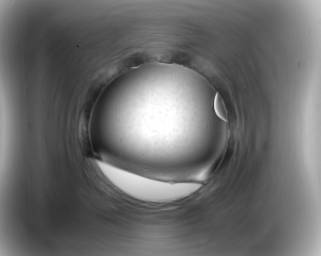 X0000086060623200704091229