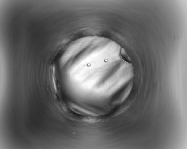 X0000086060624200704091229