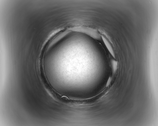 X0000086060626200704091228