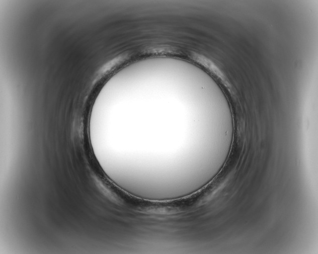 X0000086060629200704091229