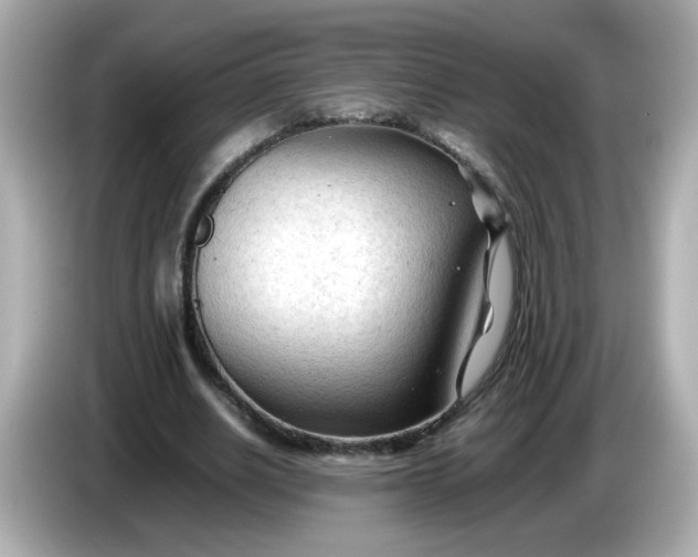 X0000086060630200704091229