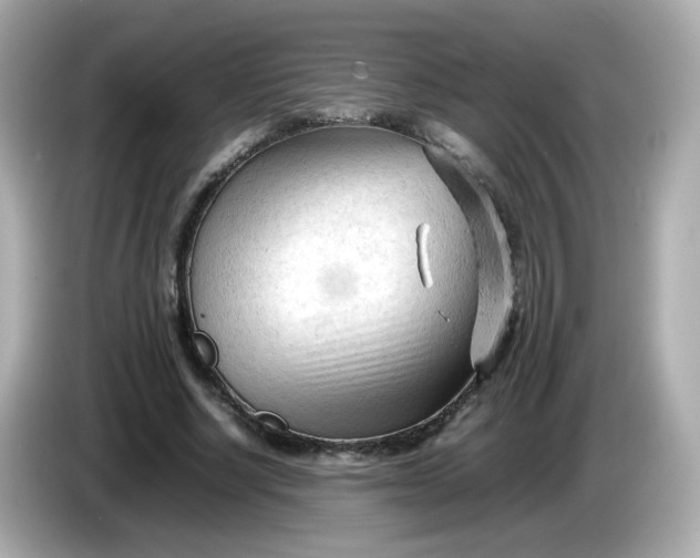 X0000086060634200704091229