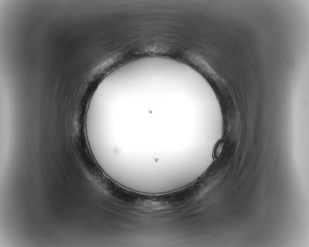 X0000086060635200704091229