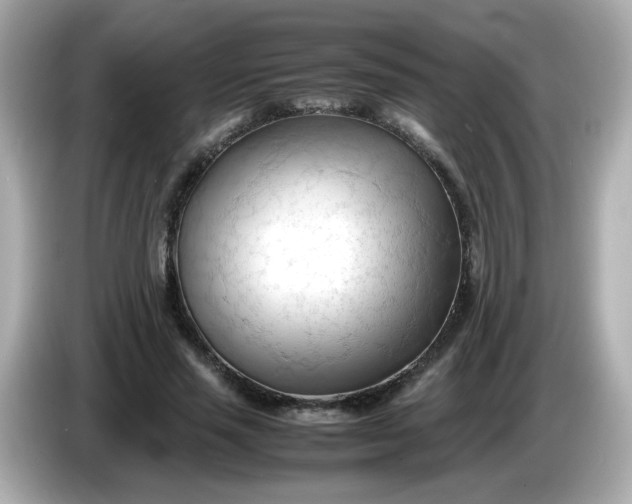 X0000086060637200704091229