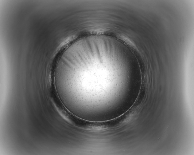 X0000086060638200704091229