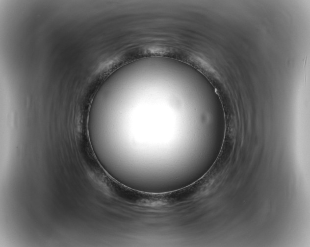 X0000086060639200704091229