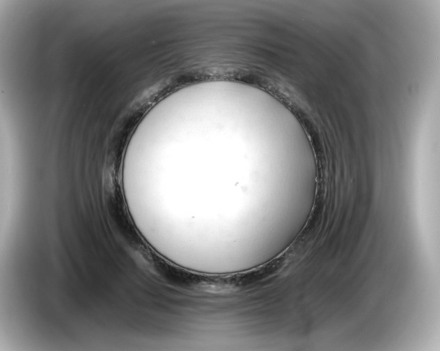 X0000086060644200704091229