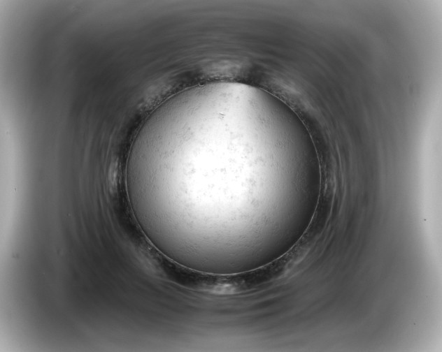 X0000086060647200704091229