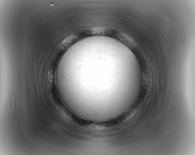 X0000086060648200704091229