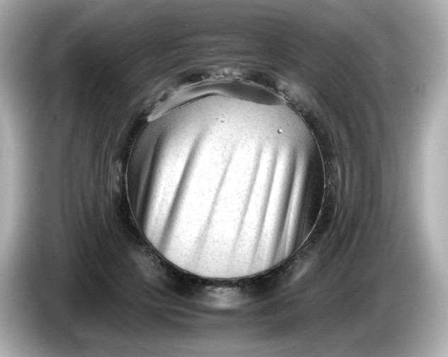 X0000086060649200704091229