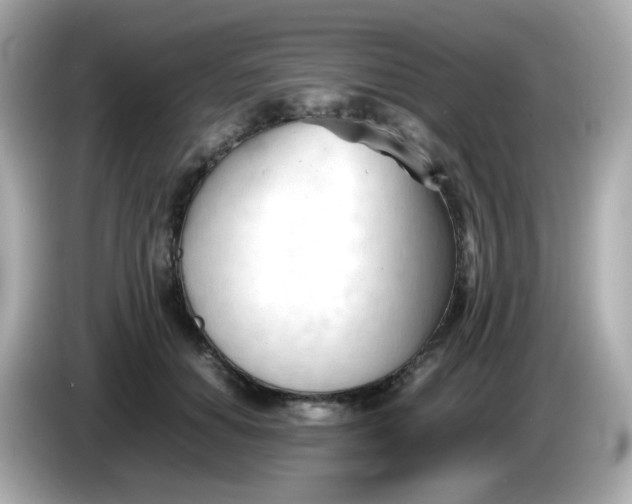 X0000086060654200704091229