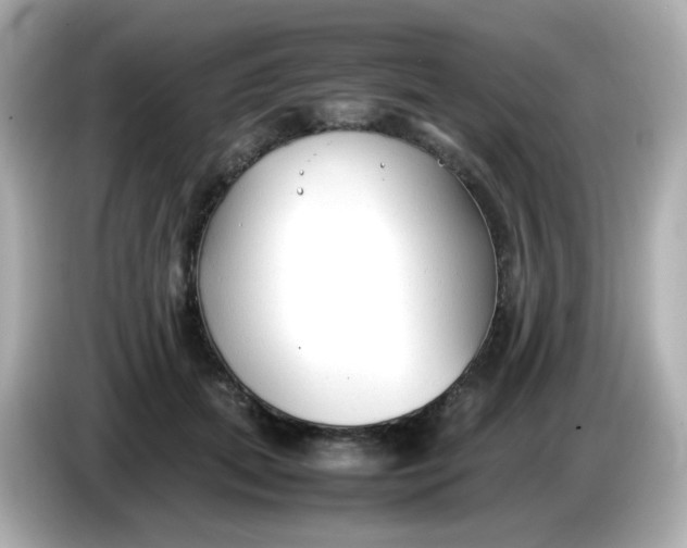 X0000086060655200704091229