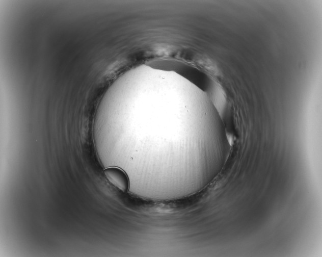 X0000086060656200704091229