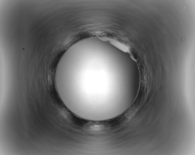 X0000086060658200704091229