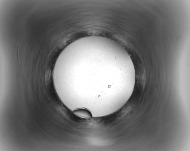 X0000086060660200704091229