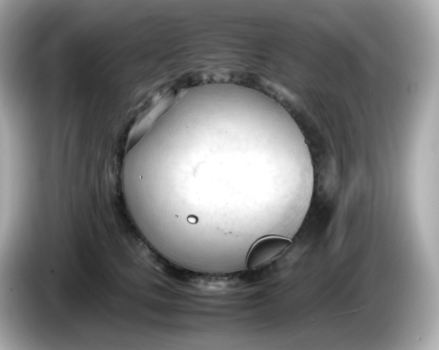 X0000086060661200704091229