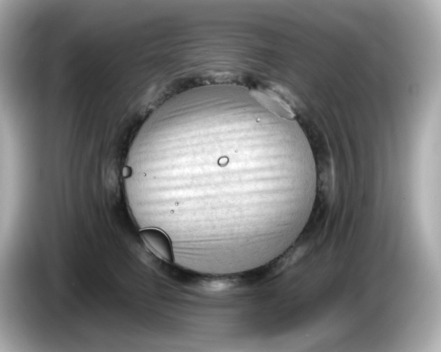 X0000086060662200704091229