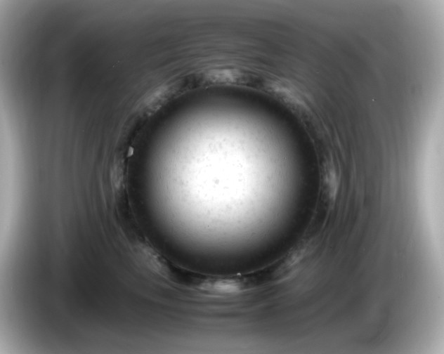 X0000086060665200704091229