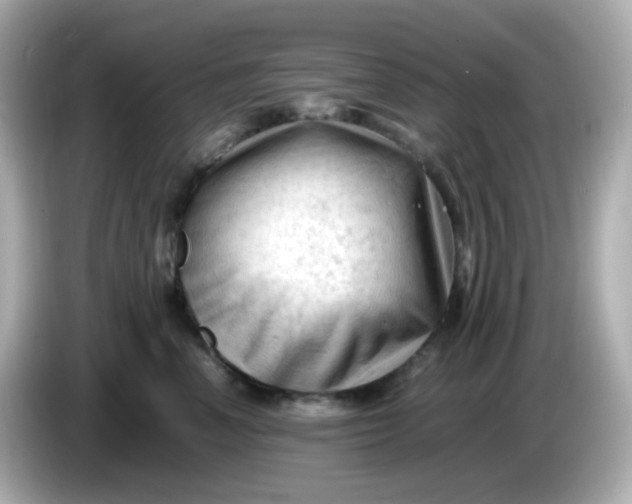 X0000086060666200704091229