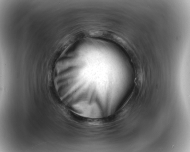 X0000086060667200704091229