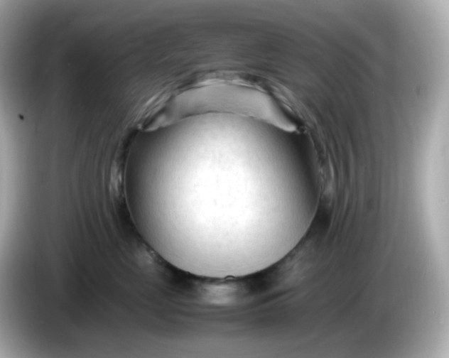 X0000086060669200704091229