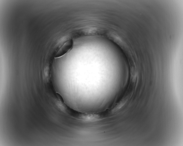 X0000086060670200704091229