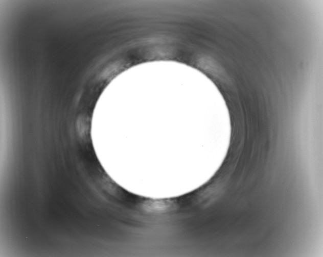 X0000086060672200704091229