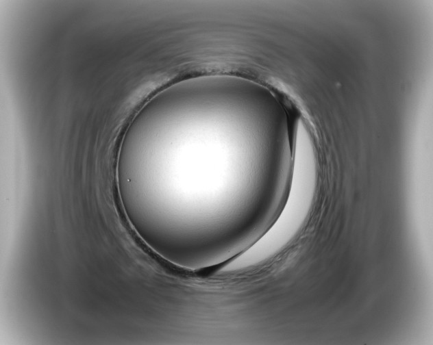 X0000086060673200704091228